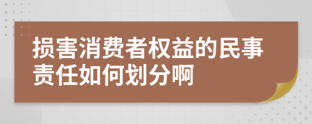 损害消费者权益的民事责任如何划分啊
