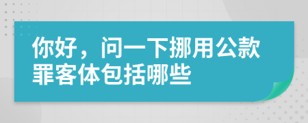 你好，问一下挪用公款罪客体包括哪些