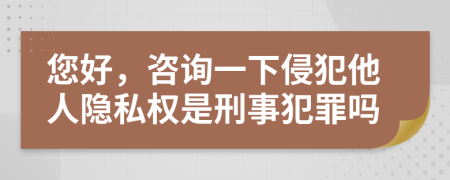您好，咨询一下侵犯他人隐私权是刑事犯罪吗