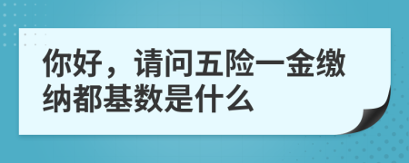 你好，请问五险一金缴纳都基数是什么