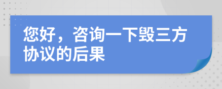 您好，咨询一下毁三方协议的后果