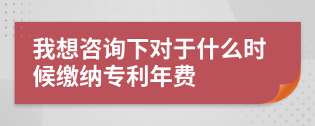 我想咨询下对于什么时候缴纳专利年费