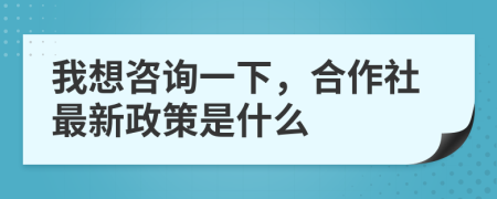 我想咨询一下，合作社最新政策是什么