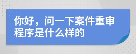 你好，问一下案件重审程序是什么样的