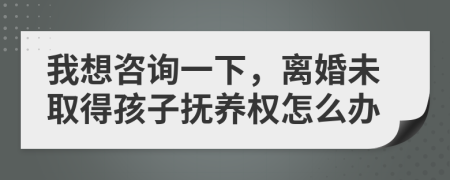 我想咨询一下，离婚未取得孩子抚养权怎么办