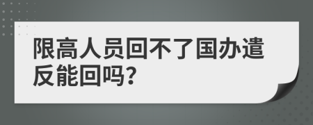 限高人员回不了国办遣反能回吗？