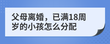 父母离婚，已满18周岁的小孩怎么分配