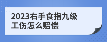 2023右手食指九级工伤怎么赔偿