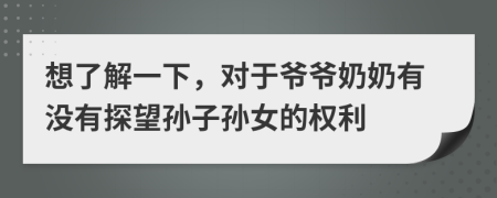 想了解一下，对于爷爷奶奶有没有探望孙子孙女的权利