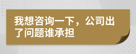 我想咨询一下，公司出了问题谁承担