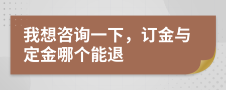 我想咨询一下，订金与定金哪个能退