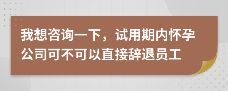 我想咨询一下，试用期内怀孕公司可不可以直接辞退员工