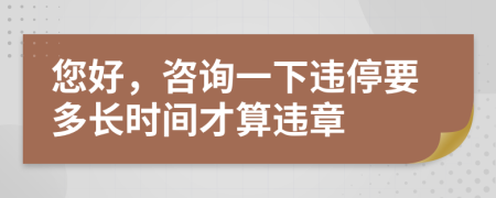 您好，咨询一下违停要多长时间才算违章