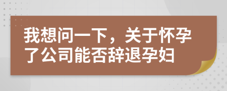 我想问一下，关于怀孕了公司能否辞退孕妇
