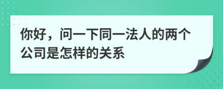 你好，问一下同一法人的两个公司是怎样的关系