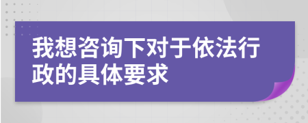我想咨询下对于依法行政的具体要求