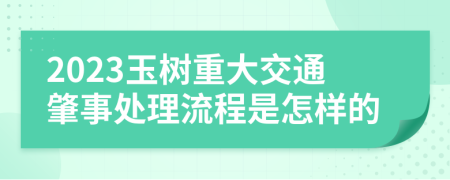2023玉树重大交通肇事处理流程是怎样的