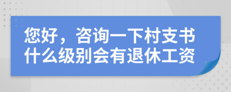 您好，咨询一下村支书什么级别会有退休工资