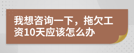 我想咨询一下，拖欠工资10天应该怎么办