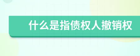 什么是指债权人撤销权