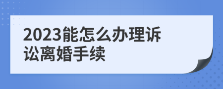 2023能怎么办理诉讼离婚手续