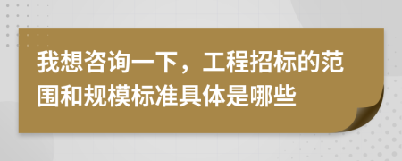 我想咨询一下，工程招标的范围和规模标准具体是哪些