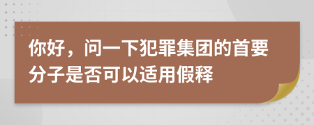 你好，问一下犯罪集团的首要分子是否可以适用假释