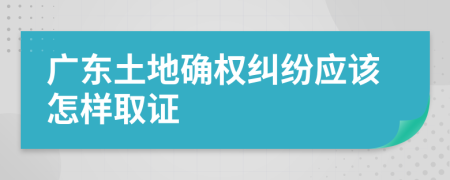 广东土地确权纠纷应该怎样取证