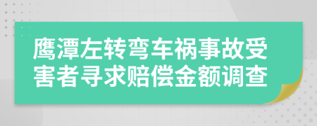 鹰潭左转弯车祸事故受害者寻求赔偿金额调查