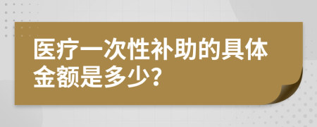 医疗一次性补助的具体金额是多少？