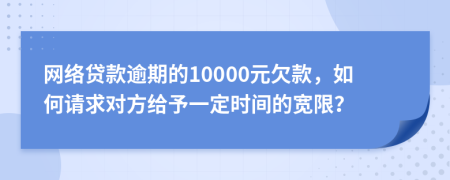 网络贷款逾期的10000元欠款，如何请求对方给予一定时间的宽限？