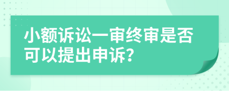 小额诉讼一审终审是否可以提出申诉？