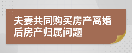 夫妻共同购买房产离婚后房产归属问题
