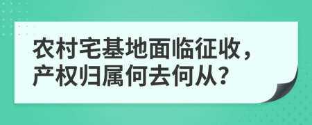 农村宅基地面临征收，产权归属何去何从？