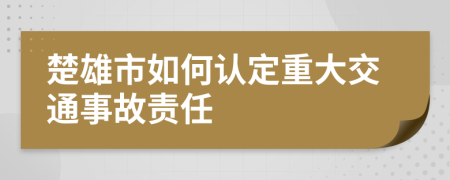 楚雄市如何认定重大交通事故责任