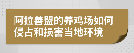 阿拉善盟的养鸡场如何侵占和损害当地环境