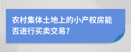 农村集体土地上的小产权房能否进行买卖交易？