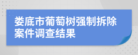 娄底市葡萄树强制拆除案件调查结果