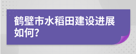 鹤壁市水稻田建设进展如何？