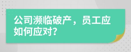 公司濒临破产，员工应如何应对？