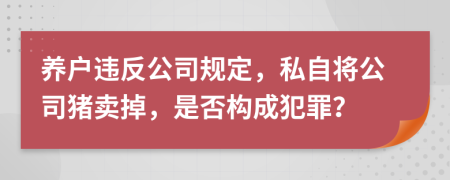 养户违反公司规定，私自将公司猪卖掉，是否构成犯罪？