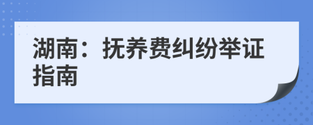 湖南：抚养费纠纷举证指南