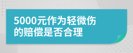 5000元作为轻微伤的赔偿是否合理