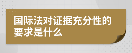 国际法对证据充分性的要求是什么