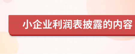 小企业利润表披露的内容