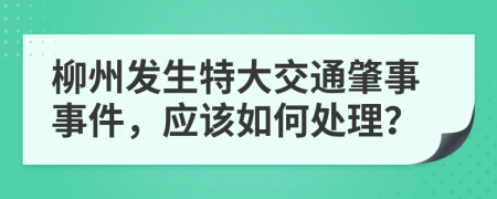 柳州发生特大交通肇事事件，应该如何处理？