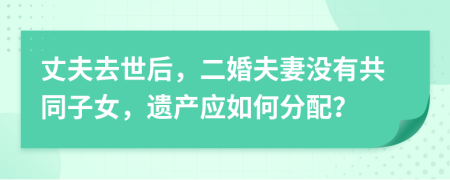 丈夫去世后，二婚夫妻没有共同子女，遗产应如何分配？