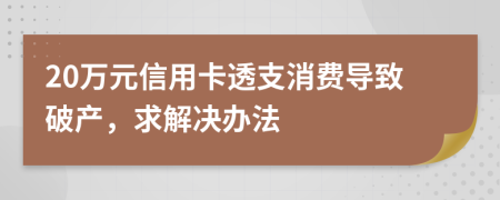 20万元信用卡透支消费导致破产，求解决办法