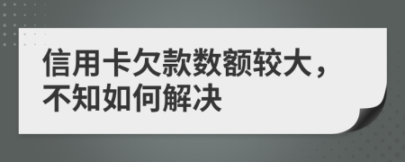 信用卡欠款数额较大，不知如何解决