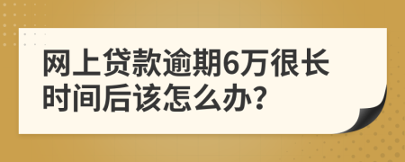 网上贷款逾期6万很长时间后该怎么办？
